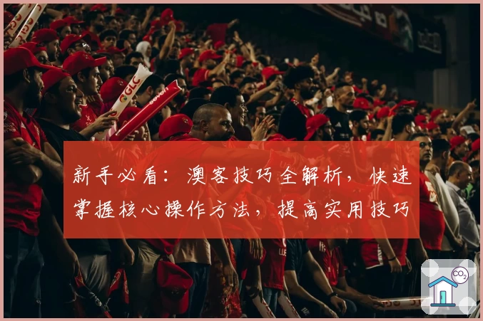 新手必看：澳客技巧全解析，快速掌握核心操作方法，提高实用技巧