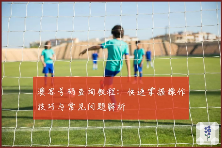 澳客号码查询教程：快速掌握操作技巧与常见问题解析